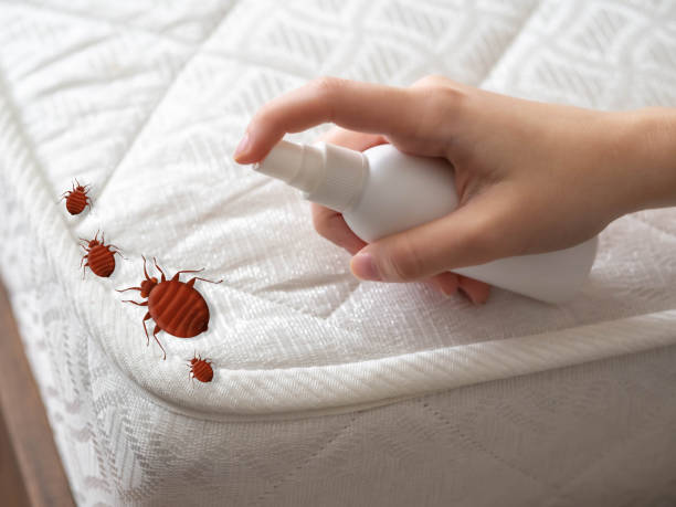 Emergency Pest Control Services in Bradley, WV